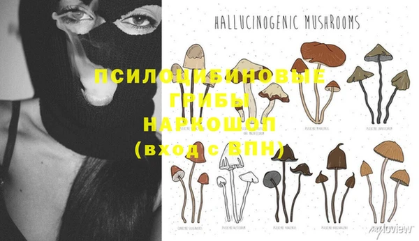 трава Зеленодольск